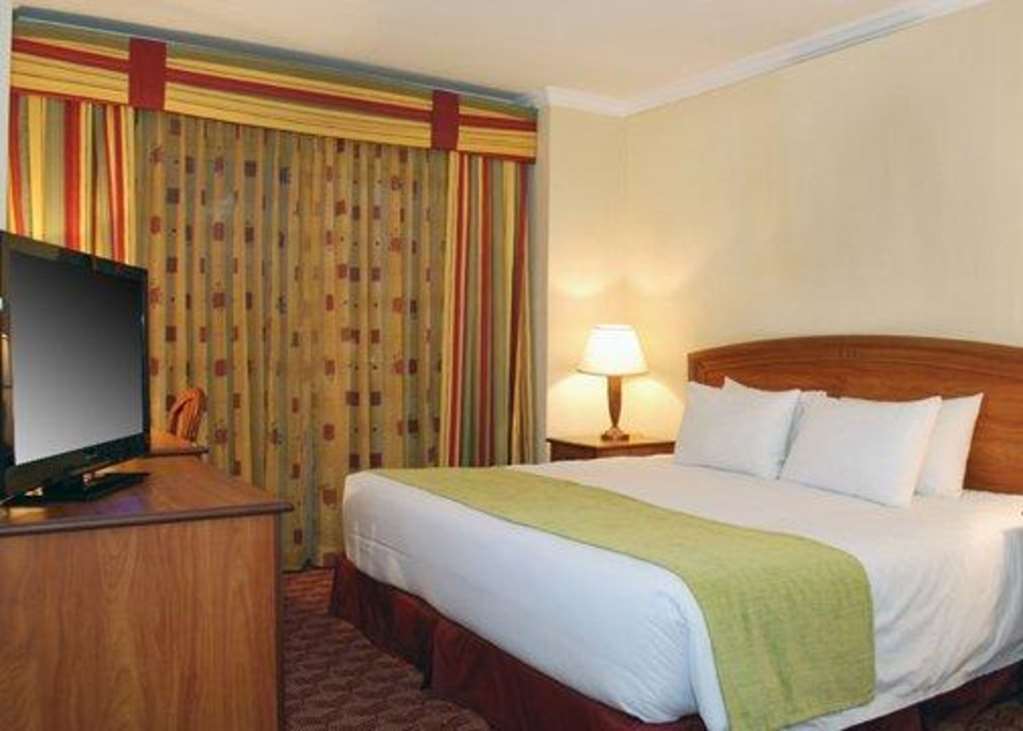 Suites Las Palmas, Hotel & Apartments. Сан-Сальвадор Номер фото